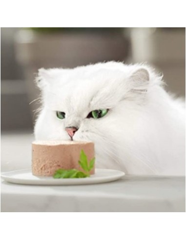 Gourmet Gold Intrecci Di gusto Tonno e Pesce Dell'oceano gr 85. Alimento Per Gatti adulti