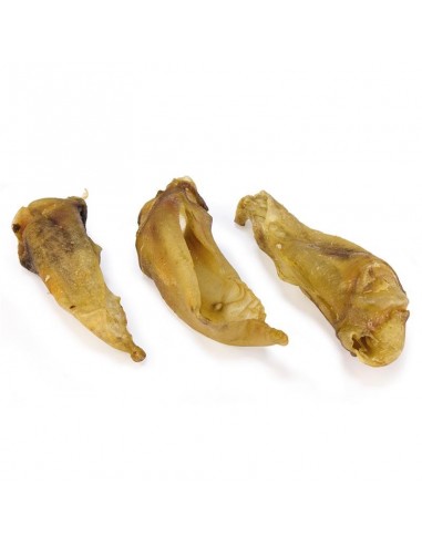 Orecchie di Agnello Arquivet 100 Gr Snack per Cani