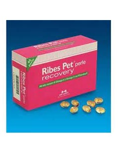 Nbf Lanes Ribet Per Recovery 60 Perle . Integratore Per Gatti e Cani 2