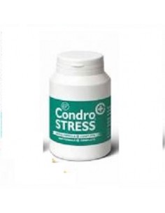 CONDROSTRESS 60 CPR INNOVET 2