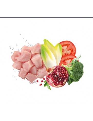 Exclusion Mediterraneo Mono Noble Grain  Adult Pollo Gr 400. Cibo Umido Per Cani