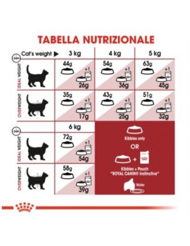 Royal Canin Fit 32 kg 10. Cibo Secco Per Gatti