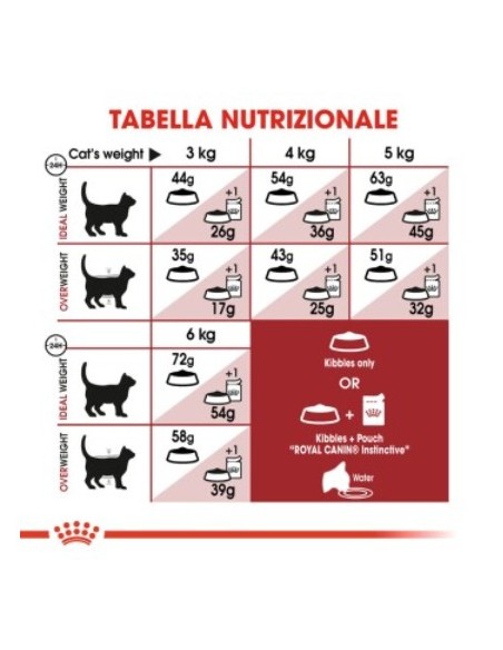 Royal Canin Fit 32 kg 10. Cibo Secco Per Gatti