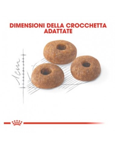 Royal Canin Fit 32 kg 10. Cibo Secco Per Gatti