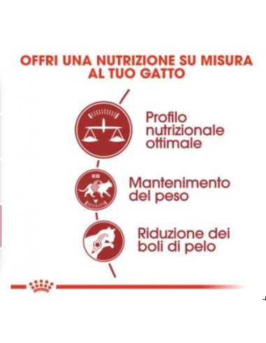 Royal Canin Fit 32 kg 10. Cibo Secco Per Gatti