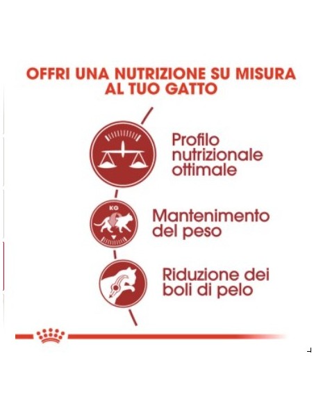 Royal Canin Fit 32 kg 10. Cibo Secco Per Gatti