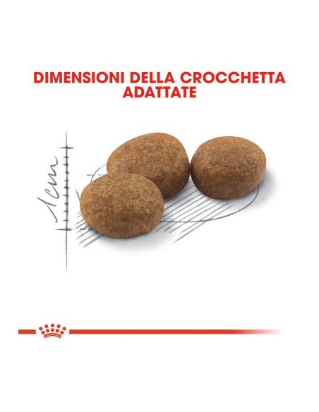 Royal Canin Sterilised 37 kg 10. Cibo Secco Per Gatti
