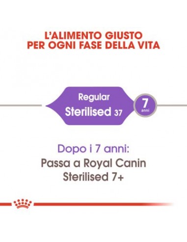 Royal Canin Sterilised 37 kg 10. Cibo Secco Per Gatti