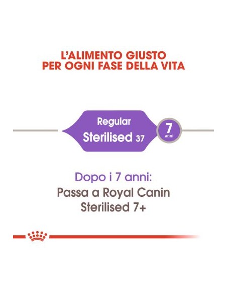 Royal Canin Sterilised 37 kg 10. Cibo Secco Per Gatti