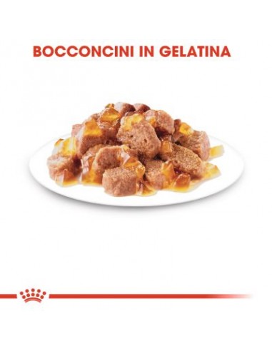 Royal Canin Sterilised Busta Jelly gr 85. Cibo Umido Per Gatti