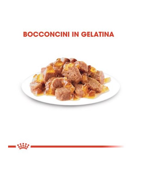 Royal Canin Sterilised Busta Jelly gr 85. Cibo Umido Per Gatti