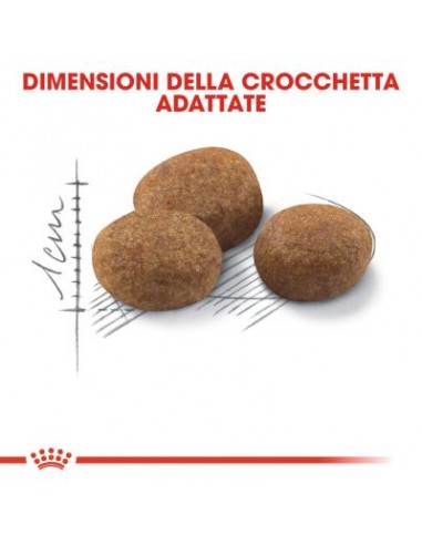 Royal Canin Sterilised 7+ kg 1,5. Cibo Secco Per Gatti