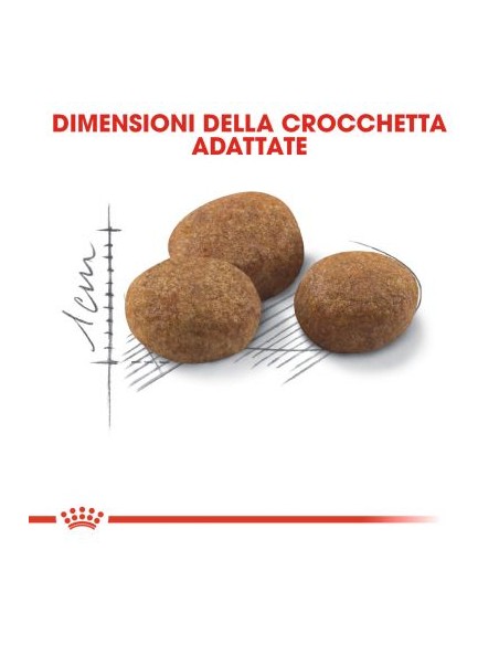 Royal Canin Sterilised 7+ kg 1,5. Cibo Secco Per Gatti