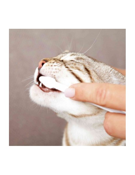 Set Per La Cura dei Denti Per Gatti .Igiene Per Gatti