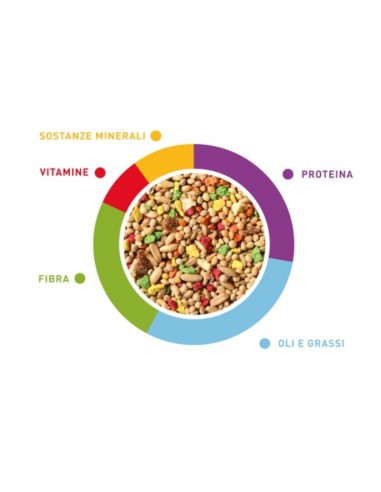 Padovan Grandmix Cocorite  400 gr. Mangime Per Uccelli