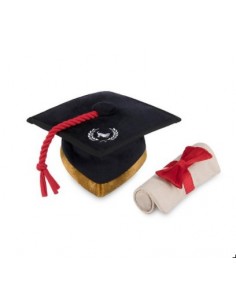 Gioco Play Back To School, Cappello Laurea Peluche. Giochi Per Cani 2
