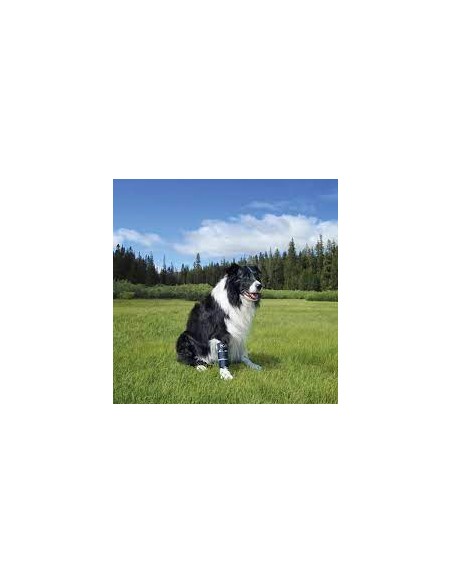 Balto Bt Bone Tutore Per Fratture Misura Medium  . Accessori Medicali Per Cani