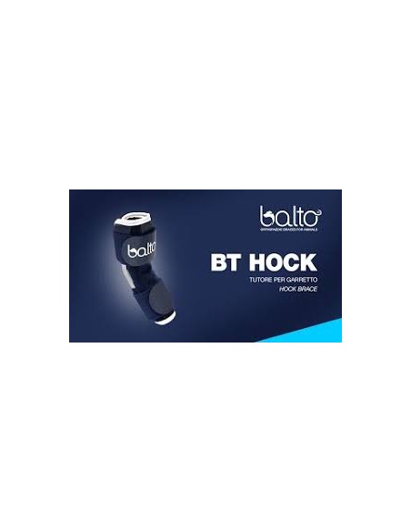 Balto Bt Hock Tutore Per Il Garretto Misura Medium. Accessori Medicali Per Cani