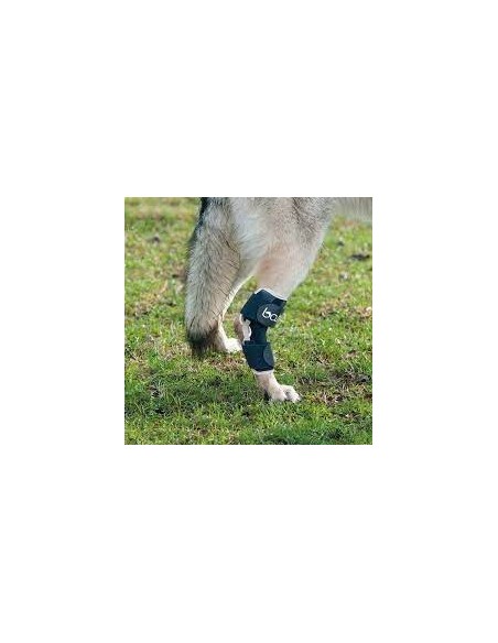 Balto Bt Hock Tutore Per Il Garretto Misura Medium. Accessori Medicali Per Cani
