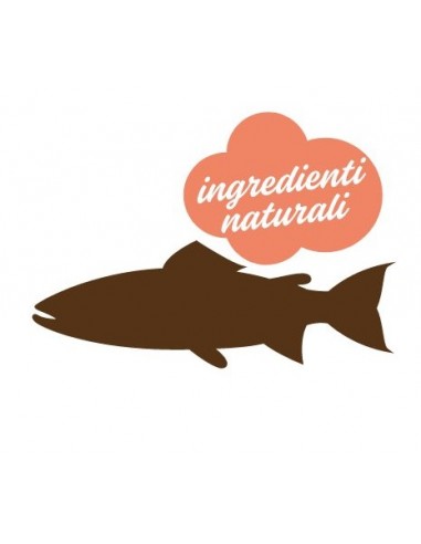 Mister Stuzzy Cat con Salmone Gr.100 Cibo per Gatti