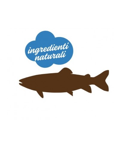 Mister Stuzzy Cat Trota Gr 100. Mangime Per Gatti