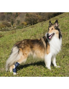 Balto BT Hock Tutore Per Garretto Misura Large . Accessori Medicali Per Cani 2