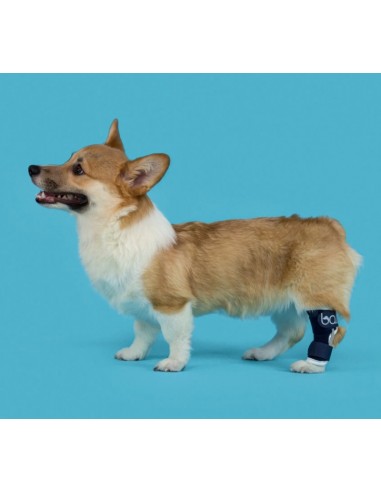 Balto BT Hock Tutore Per Garretto Misura Large . Accessori Medicali Per Cani