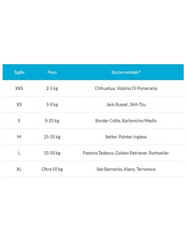 Balto BT Hock Tutore Per Garretto Misura Large . Accessori Medicali Per Cani