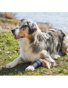 Balto Bt Joint Tutore Del Carpo Misura Medium . Accessori Medicali Per Cani 2