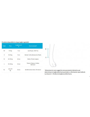 Balto Bt Joint Tutore Del Carpo Misura Medium . Accessori Medicali Per Cani