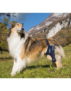 Balto BT Jump Tutore per il Ginocchio Sinistro Misura Medium. Accessori Medicali Per Il Cane 2