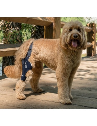 Balto BT Jump Tutore per il Ginocchio Sinistro Misura Medium. Accessori Medicali Per Il Cane