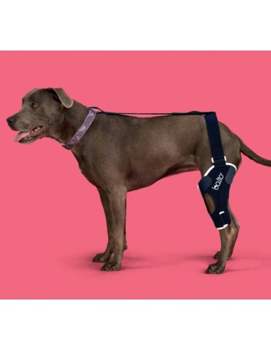 Balto BT Jump Tutore per il Ginocchio Sinistro Misura Medium. Accessori Medicali Per Il Cane