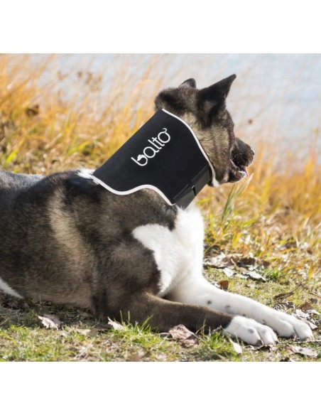 Balto BT Neck Black Eco Collare Rigido Taglia XLarge . Accessori Medicali Per Cani