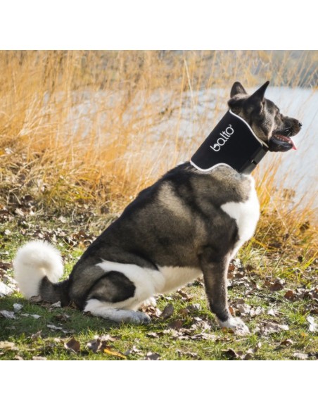 Balto BT Neck Black Eco Collare Rigido Taglia XLarge . Accessori Medicali Per Cani