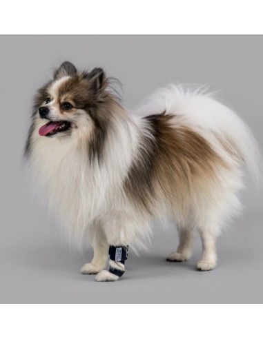 Balto Bt Splint Tutore Per Lassità Misura Small. Accessori Medicali Per Cani