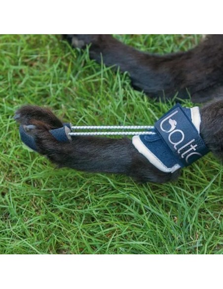 Balto BT Pull Tutore Per Iperflessione Taglia Small . Accessori Medicali Per Cani