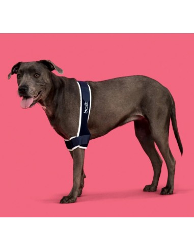 Balto BT Soft Plus Tutore Per Gomito Doppio Taglia Large. Accessori Medicali Per Cani