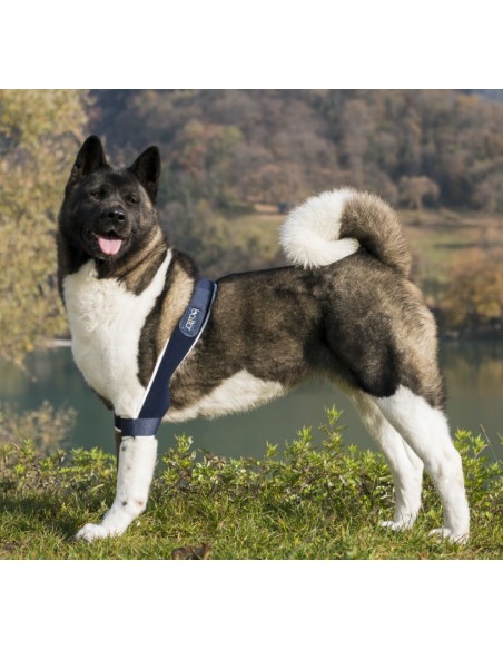 Balto BT Soft Plus Tutore Per Gomito Doppio Taglia Medium. Accessori Medicali Per Cani