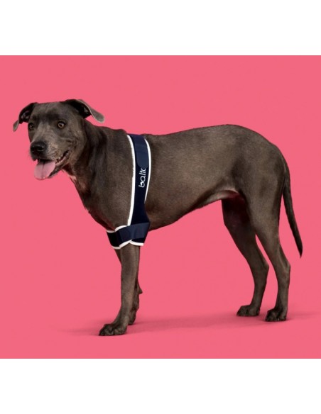Balto BT Soft Plus Tutore Per Gomito Doppio Taglia Medium. Accessori Medicali Per Cani