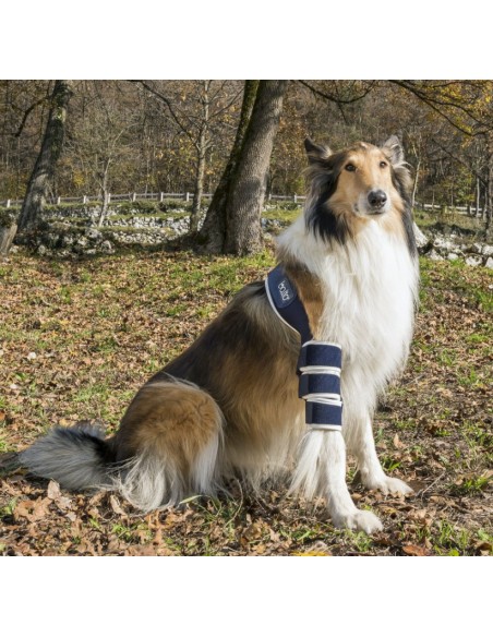Balto Bt Soft Tutore Per Gomito Sinistro Taglia Large . Accessori Medicali Per Cani