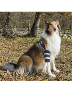 Balto Bt Soft Tutore Per Gomito Sinistro Taglia Medium . Accessori Medicali Per Cani 2