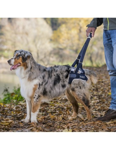 Balto Bt up Sospensore Posteriore Con Maniglia Taglia xLarge . Accessorio Medicale Per Cani
