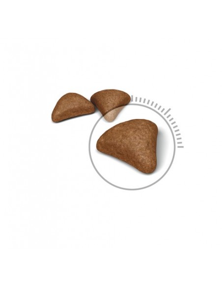 Royal Canin Hairball Care Secco, Gatto Gr 400. Cibo Secco Per Gatti