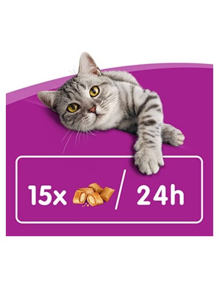Whiskas Anti-Hairball gr 60. Snack Per Gatti
