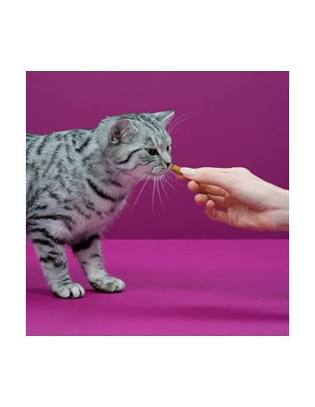 Whiskas Anti-Hairball gr 60. Snack Per Gatti