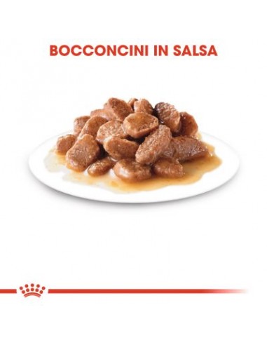 Digest Sensitive Gravy Gr 85 Busta . Cibo Umido Per Gatti