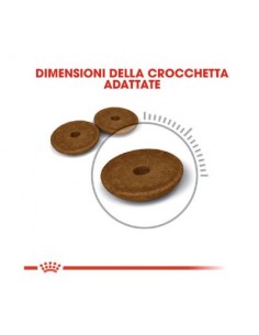 Digestive Care gr 400. Cibo Secco Per Gatti 2