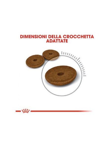 Digestive Care gr 400. Cibo Secco Per Gatti