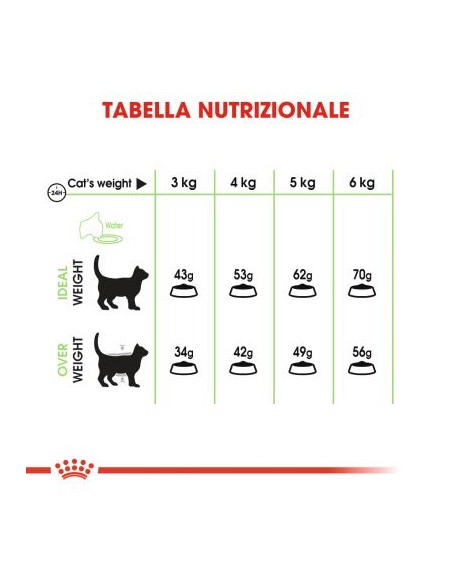 Digestive Care gr 400. Cibo Secco Per Gatti